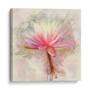 Bonito En Pastel I - Leda Robertson | Cuadro decorativo de Canvas Lab