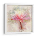 Bonito En Pastel I - Leda Robertson | Cuadro decorativo de Canvas Lab