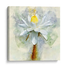 Bonita En Pastel Ii - Leda Robertson | Cuadro decorativo de Canvas Lab