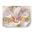 Pétalos Juguetones I - Leda Robertson | Cuadro decorativo de Canvas Lab