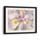 Pétalos Juguetones Ii - Leda Robertson | Cuadro decorativo de Canvas Lab