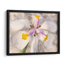 Pétalos Juguetones Ii - Leda Robertson | Cuadro decorativo de Canvas Lab