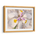 Pétalos Juguetones Ii - Leda Robertson | Cuadro decorativo de Canvas Lab