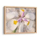 Pétalos Juguetones Ii - Leda Robertson | Cuadro decorativo de Canvas Lab