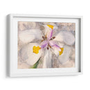 Pétalos Juguetones Ii - Leda Robertson | Cuadro decorativo de Canvas Lab