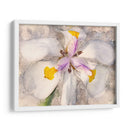 Pétalos Juguetones Ii - Leda Robertson | Cuadro decorativo de Canvas Lab