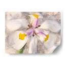 Pétalos Juguetones Ii - Leda Robertson | Cuadro decorativo de Canvas Lab