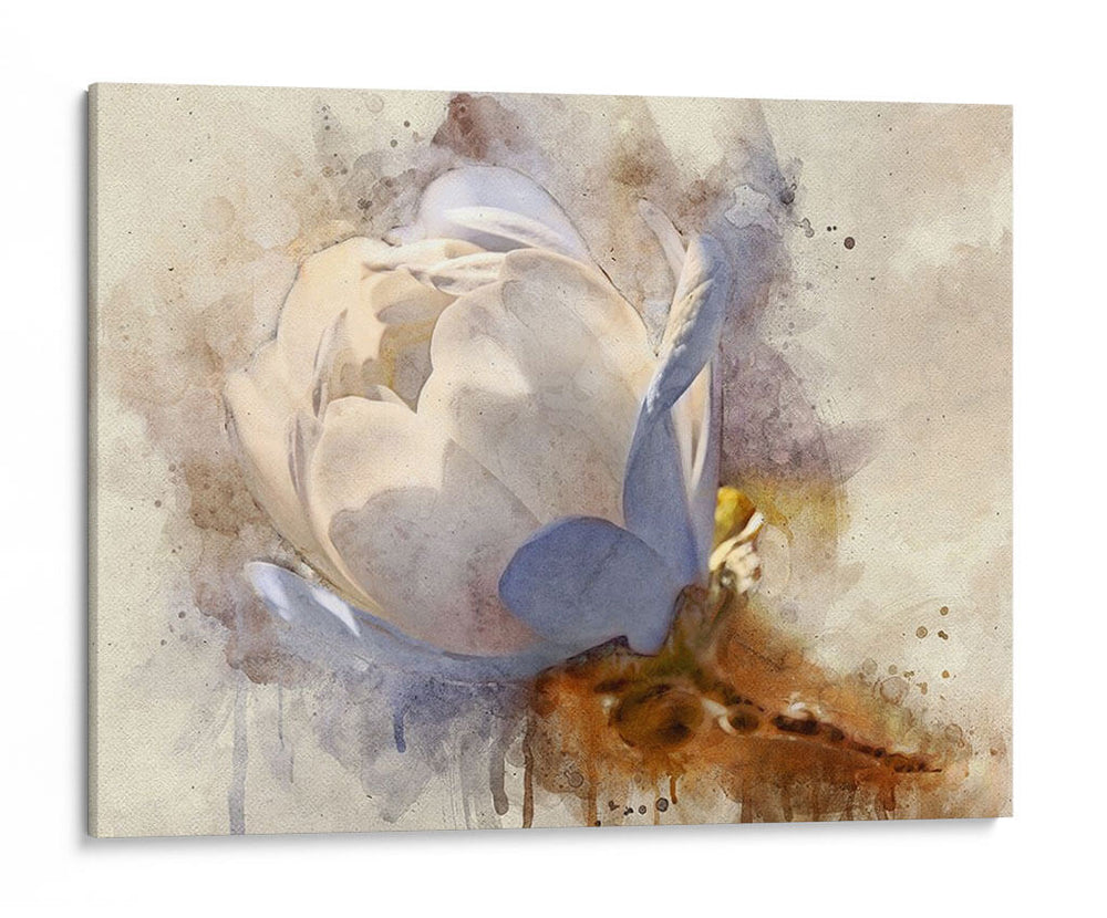 Pétalos Juguetones Iv - Leda Robertson | Cuadro decorativo de Canvas Lab