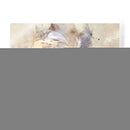 Pétalos Juguetones Iv - Leda Robertson | Cuadro decorativo de Canvas Lab