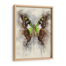 Abstracción Natural I - Leda Robertson | Cuadro decorativo de Canvas Lab