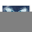 Natures Angel I - Leda Robertson | Cuadro decorativo de Canvas Lab