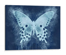 Natures Angel Ii - Leda Robertson | Cuadro decorativo de Canvas Lab