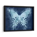 Natures Angel Ii - Leda Robertson | Cuadro decorativo de Canvas Lab