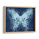Natures Angel Ii - Leda Robertson | Cuadro decorativo de Canvas Lab