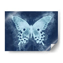 Natures Angel Ii - Leda Robertson | Cuadro decorativo de Canvas Lab