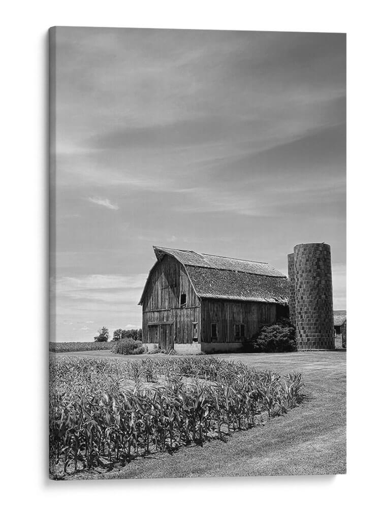 Farm Serenity Ii - Leda Robertson | Cuadro decorativo de Canvas Lab