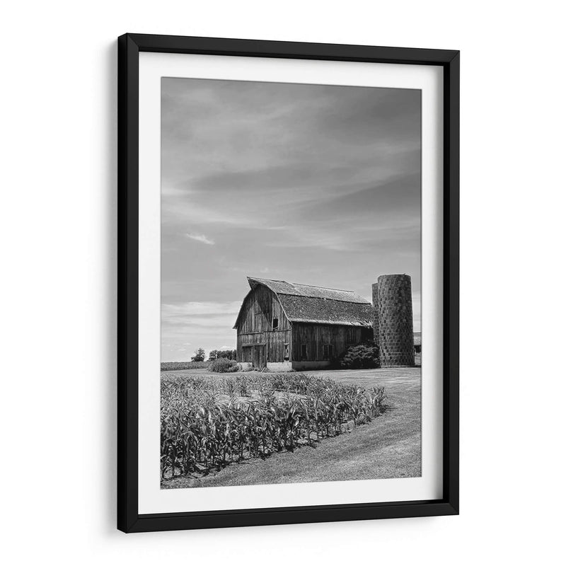 Farm Serenity Ii - Leda Robertson | Cuadro decorativo de Canvas Lab