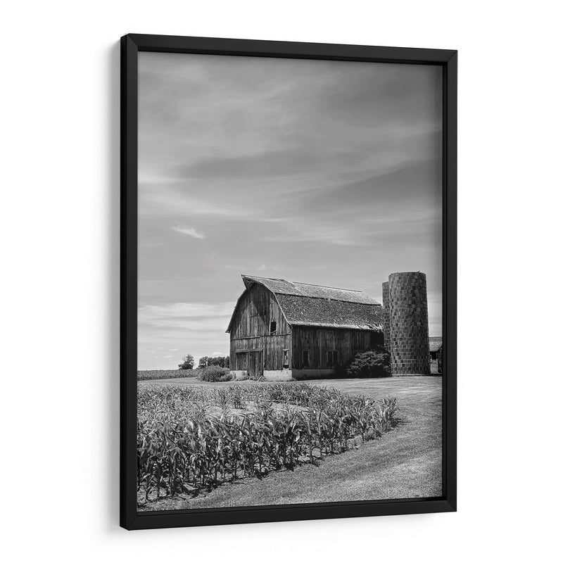 Farm Serenity Ii - Leda Robertson | Cuadro decorativo de Canvas Lab