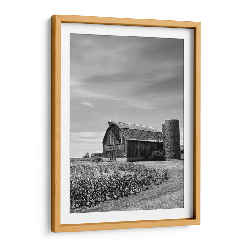 Farm Serenity Ii - Leda Robertson | Cuadro decorativo de Canvas Lab