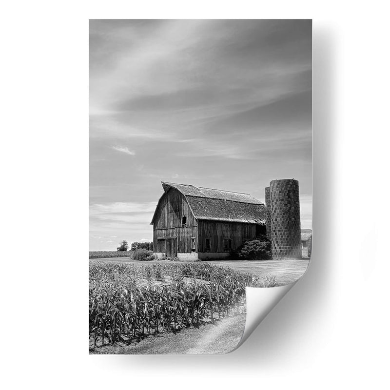 Farm Serenity Ii - Leda Robertson | Cuadro decorativo de Canvas Lab