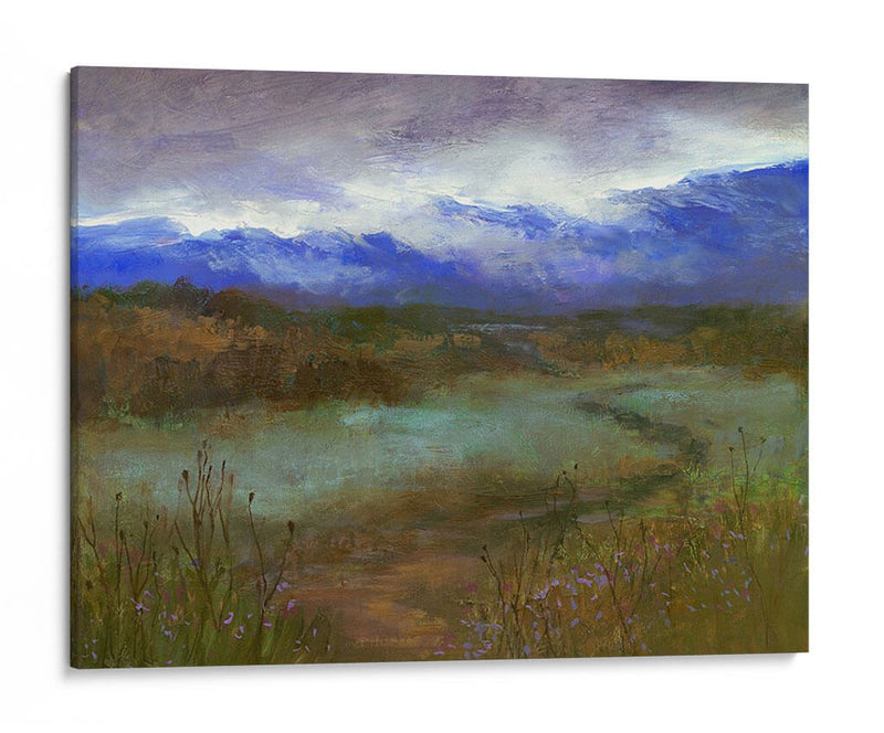 Camino De Crystal Springs Al Atardecer - Sheila Finch | Cuadro decorativo de Canvas Lab