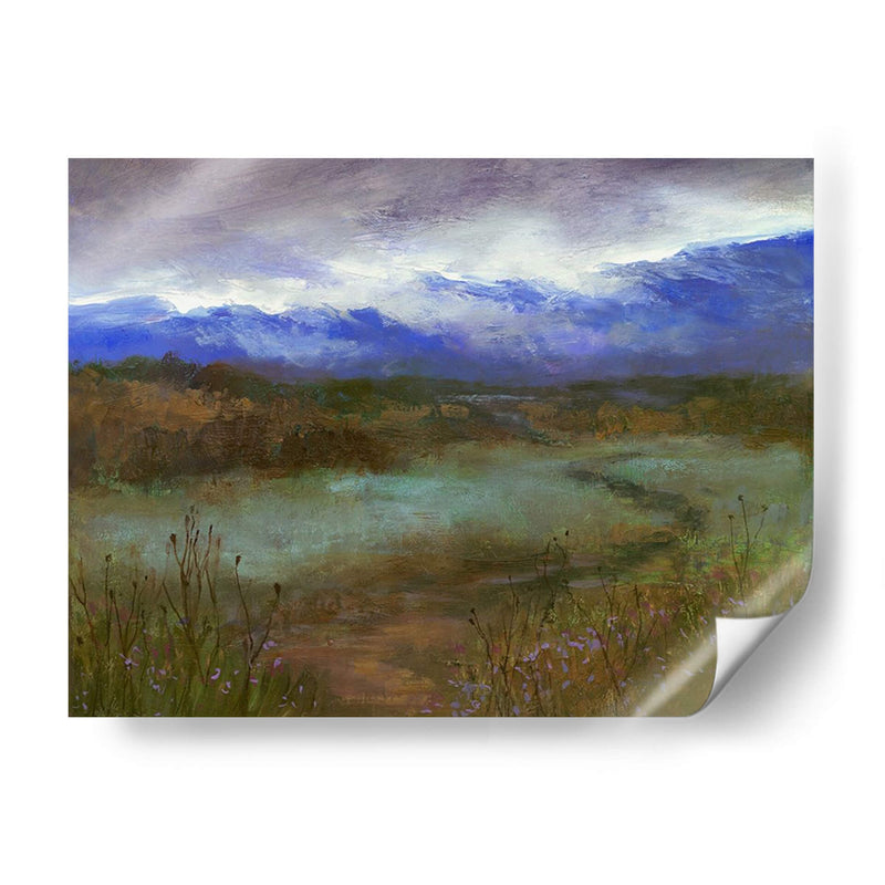 Camino De Crystal Springs Al Atardecer - Sheila Finch | Cuadro decorativo de Canvas Lab