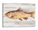Trucha Manchada I - Jacob Green | Cuadro decorativo de Canvas Lab