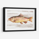 Trucha Manchada I - Jacob Green | Cuadro decorativo de Canvas Lab