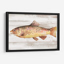Trucha Manchada I - Jacob Green | Cuadro decorativo de Canvas Lab