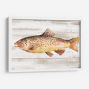 Trucha Manchada I - Jacob Green | Cuadro decorativo de Canvas Lab