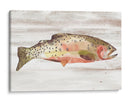 Trucha Manchada Ii - Jacob Green | Cuadro decorativo de Canvas Lab