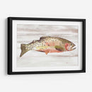 Trucha Manchada Ii - Jacob Green | Cuadro decorativo de Canvas Lab