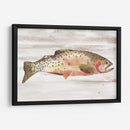 Trucha Manchada Ii - Jacob Green | Cuadro decorativo de Canvas Lab