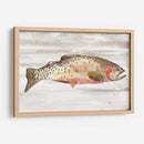 Trucha Manchada Ii - Jacob Green | Cuadro decorativo de Canvas Lab