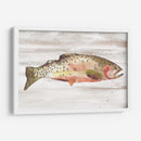 Trucha Manchada Ii - Jacob Green | Cuadro decorativo de Canvas Lab