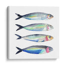 Sardine Equipo Ii - Jacob Green | Cuadro decorativo de Canvas Lab
