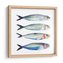 Sardine Equipo Ii - Jacob Green | Cuadro decorativo de Canvas Lab