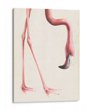 A Tus Pies Yo - Grace Popp | Cuadro decorativo de Canvas Lab