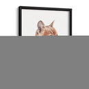 Gato Naranja I - Melissa Wang | Cuadro decorativo de Canvas Lab