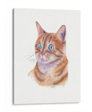 Naranja Gato Ii - Melissa Wang | Cuadro decorativo de Canvas Lab