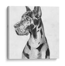 Gran Retrato De Dane I - Melissa Wang | Cuadro decorativo de Canvas Lab