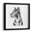 Gran Retrato De Dane I - Melissa Wang | Cuadro decorativo de Canvas Lab