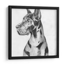 Gran Retrato De Dane I - Melissa Wang | Cuadro decorativo de Canvas Lab