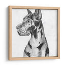 Gran Retrato De Dane I - Melissa Wang | Cuadro decorativo de Canvas Lab