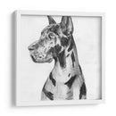 Gran Retrato De Dane I - Melissa Wang | Cuadro decorativo de Canvas Lab