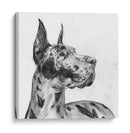 Gran Retrato De Dane Ii - Melissa Wang | Cuadro decorativo de Canvas Lab