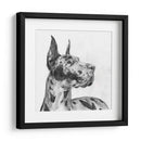 Gran Retrato De Dane Ii - Melissa Wang | Cuadro decorativo de Canvas Lab