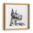 Gran Retrato De Dane Ii - Melissa Wang | Cuadro decorativo de Canvas Lab