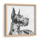 Gran Retrato De Dane Ii - Melissa Wang | Cuadro decorativo de Canvas Lab