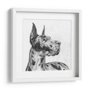 Gran Retrato De Dane Ii - Melissa Wang | Cuadro decorativo de Canvas Lab